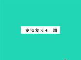 2022九年级数学下册专项复习4圆习题课件新版沪科版