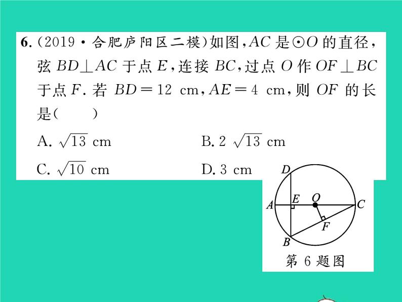 2022九年级数学下册专项复习4圆习题课件新版沪科版第7页