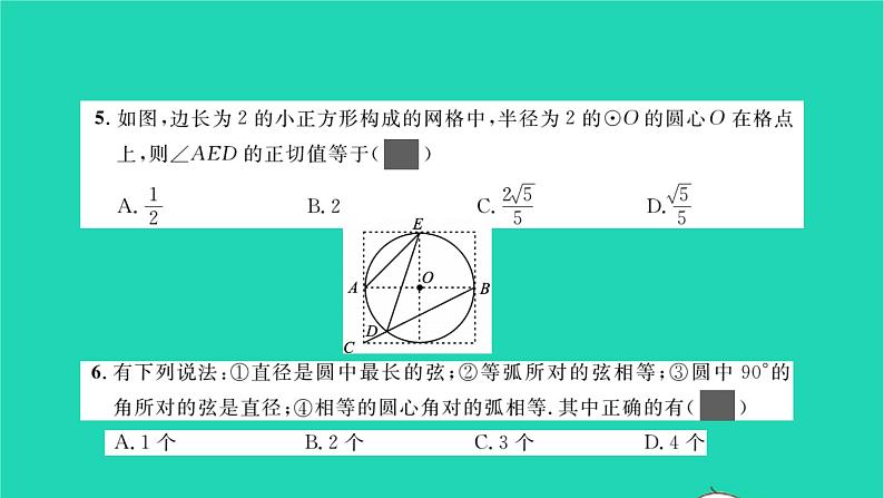 2022九年级数学下册周周卷九圆的基本性质与圆周角习题课件新版沪科版04