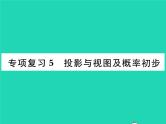2022九年级数学下册专项复习5投影与视图及概率初步习题课件新版沪科版