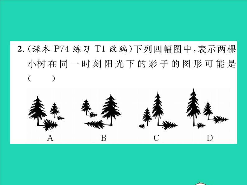 2022九年级数学下册第25章投影与视图25.1投影第1课时平行投影与中心投影习题课件新版沪科版03