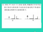 2022九年级数学下册第25章投影与视图25.1投影第1课时平行投影与中心投影习题课件新版沪科版