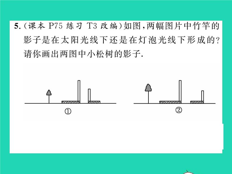 2022九年级数学下册第25章投影与视图25.1投影第1课时平行投影与中心投影习题课件新版沪科版05