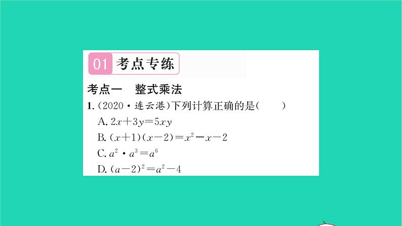 2022七年级数学下册第9章整式乘法与因式分解考点集训习题课件新版苏科版02