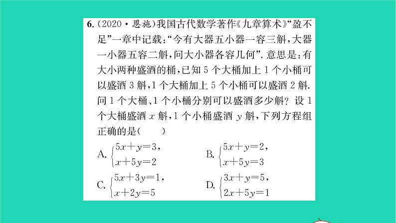 2022七年级数学下册第10章二元一次方程组必刷题410.1_10.3习题课件新版苏科版第5页