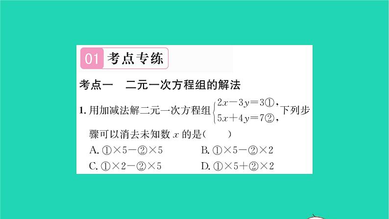 2022七年级数学下册第10章二元一次方程组考点集训习题课件新版苏科版第2页