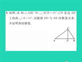 2022八年級數(shù)學(xué)下冊第1章直角三角形1.1直角三角形的性質(zhì)與判定Ⅰ第2課時含30°角的直角三角形的性質(zhì)及其應(yīng)用習(xí)題課件新版湘教版
