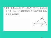 2022八年级数学下册第1章直角三角形1.1直角三角形的性质与判定Ⅰ第2课时含30°角的直角三角形的性质及其应用习题课件新版湘教版