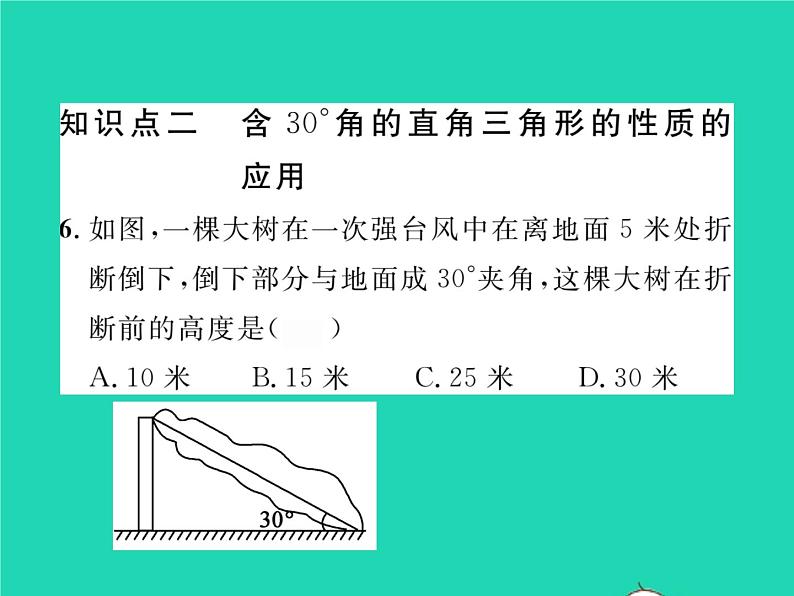 2022八年级数学下册第1章直角三角形1.1直角三角形的性质与判定Ⅰ第2课时含30°角的直角三角形的性质及其应用习题课件新版湘教版06