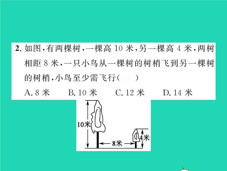 2022八年级数学下册第1章直角三角形1.2直角三角形的性质与判定Ⅱ第2课时勾股定理的实际应用习题课件新版湘教版03