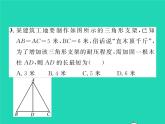 2022八年级数学下册第1章直角三角形1.2直角三角形的性质与判定Ⅱ第2课时勾股定理的实际应用习题课件新版湘教版