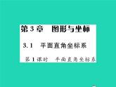 2022八年级数学下册第3章图形与坐标3.1平面直角坐标系第1课时平面直角坐标系习题课件新版湘教版