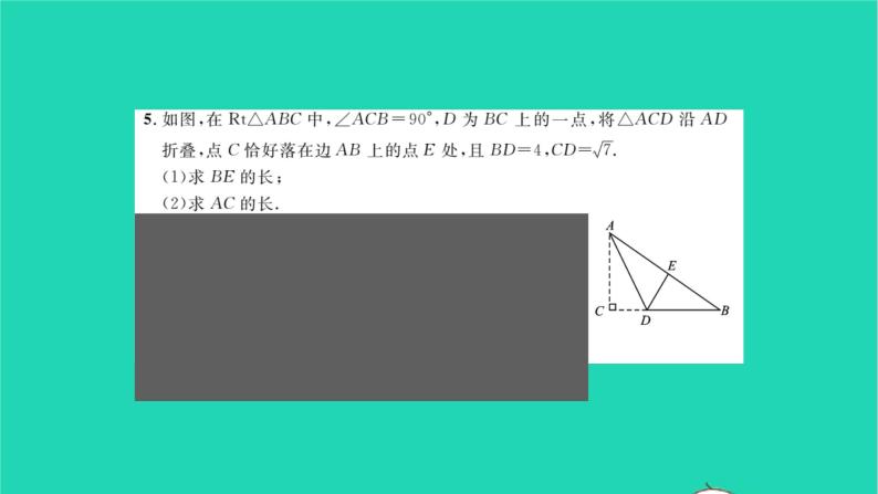 2022八年级数学下册专题卷二三角形与特殊四边形中的折叠问题习题课件新版湘教版05