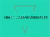 2022九年级数学下册专题卷六二次函数与反比例函数的实际应用习题课件新版湘教版