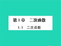 初中湘教版1.1 二次函数习题课件ppt