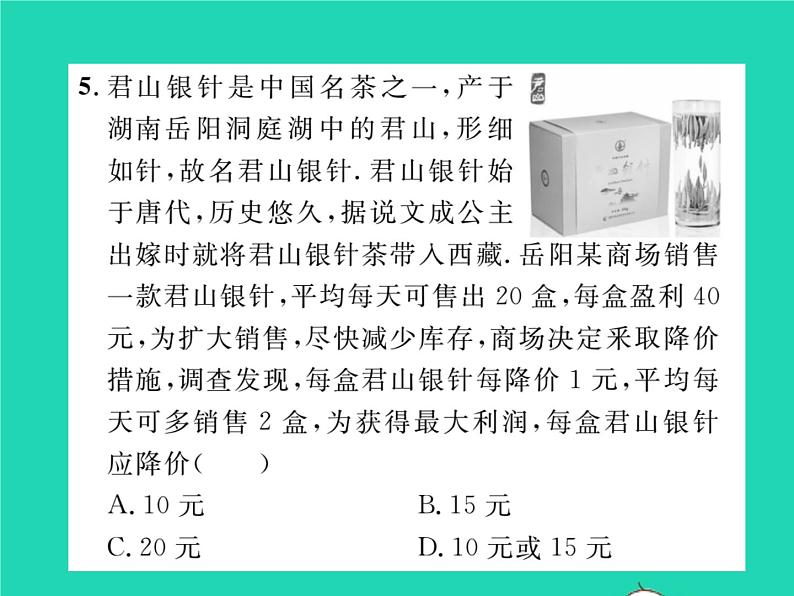 2022九年级数学下册第1章二次函数1.5二次函数的应用第2课时利用二次函数解决面积问题与销售问题习题课件新版湘教版08