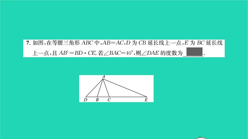 2022九年级数学下册专题卷一相似三角形的性质与判定的综合运用习题课件新版湘教版06