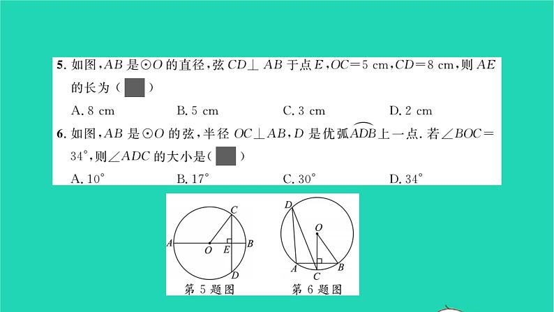 2022九年级数学下册周周卷七圆的有关性质习题课件新版湘教版04