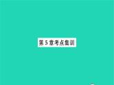 2022九年级数学下册第5章二次函数考点集训习题课件新版苏科版