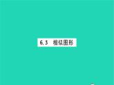 2022九年級數(shù)學(xué)下冊第6章圖形的相似6.3相似圖形習(xí)題課件新版蘇科版
