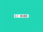 2022九年级数学下册第6章图形的相似6.3相似图形习题课件新版苏科版