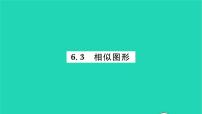 苏科版九年级下册6.3 相似图形习题ppt课件