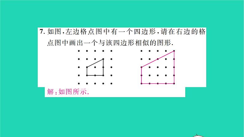 2022九年级数学下册第6章图形的相似6.3相似图形习题课件新版苏科版05