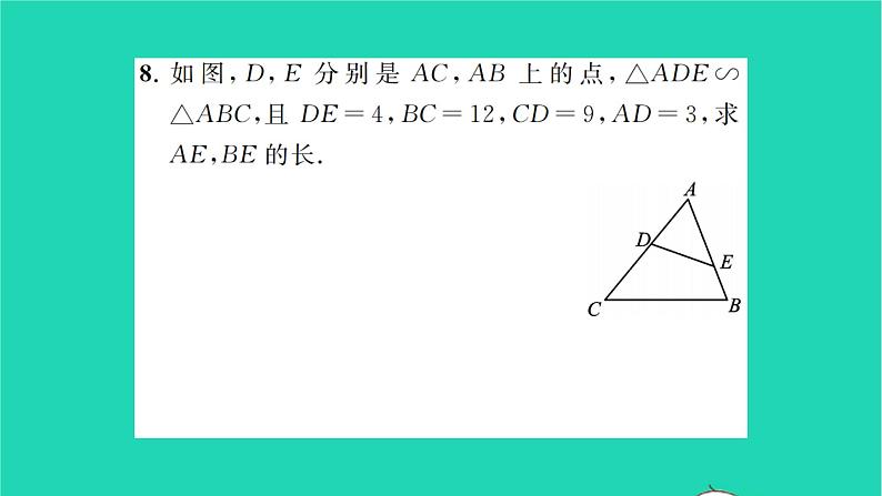 2022九年级数学下册第6章图形的相似6.3相似图形习题课件新版苏科版06