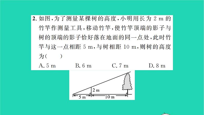 2022九年级数学下册第6章图形的相似6.7用相似三角形解决问题第1课时平行投影习题课件新版苏科版03