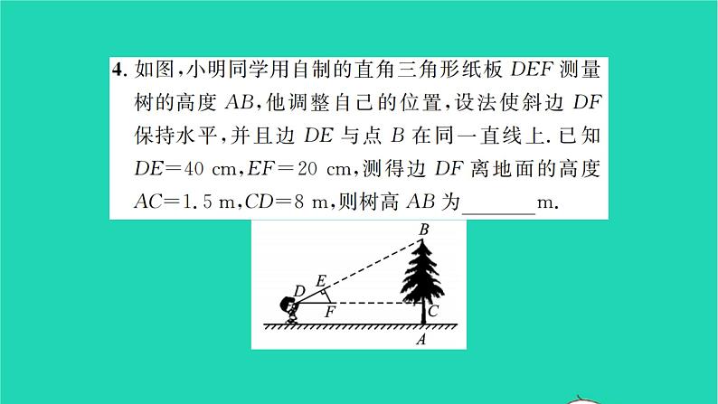 2022九年级数学下册第6章图形的相似6.7用相似三角形解决问题第1课时平行投影习题课件新版苏科版05