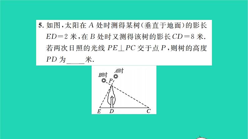 2022九年级数学下册第6章图形的相似6.7用相似三角形解决问题第1课时平行投影习题课件新版苏科版06