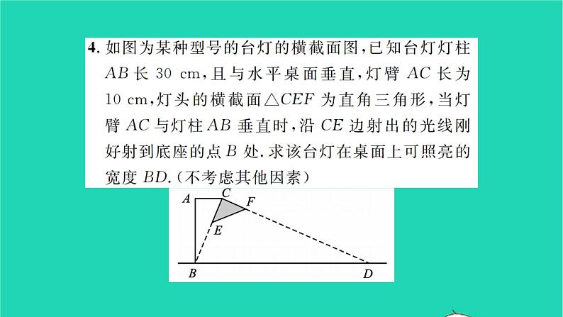 2022九年级数学下册第6章图形的相似6.7用相似三角形解决问题第2课时中心投影习题课件新版苏科版05