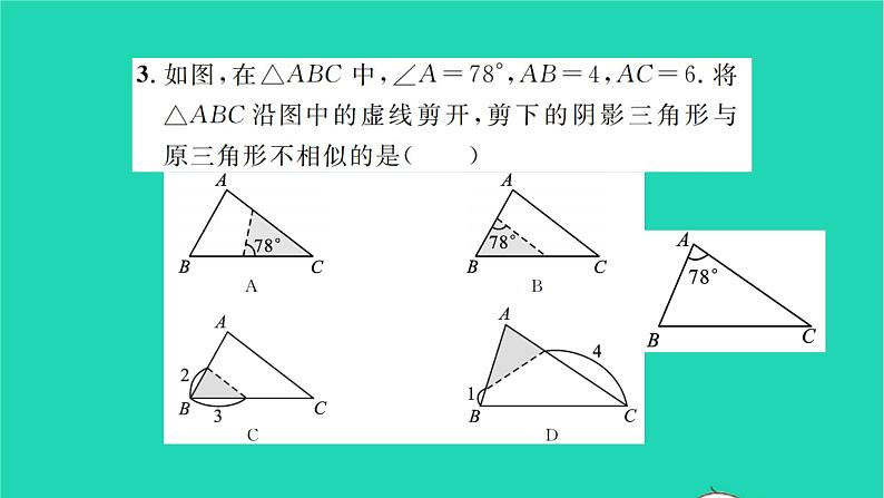 2022九年级数学下册第6章图形的相似必刷题2 6.4习题课件新版苏科版04