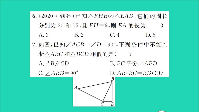 2022九年级数学下册第6章图形的相似考点集训习题课件新版苏科版第6页