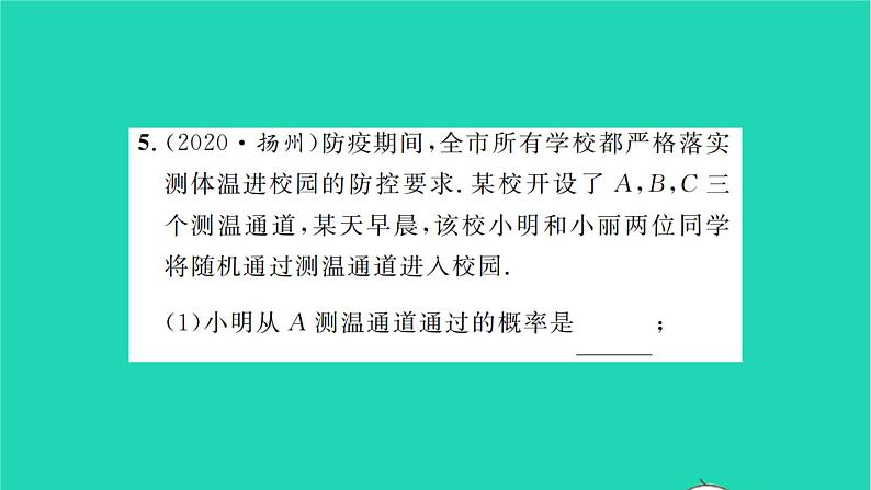 2022九年级数学下册第8章统计和概率的简单应用8.4抽签方法合理吗习题课件新版苏科版06