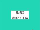 2022九年级数学下册期末复习1数与式习题课件新版苏科版