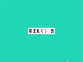 2022九年级数学下册期末复习6圆习题课件新版苏科版