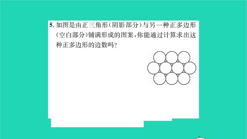 2022七年级数学下册第9章多边形9.3用正多边形铺设地面9.3.2用多种正多边形习题课件新版华东师大版第5页