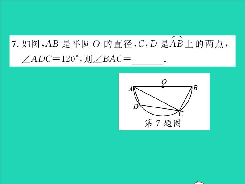 2022九年级数学下册第27章圆27.1圆的认识27.1.3圆周角第2课时圆周角定理的推论习题课件新版华东师大版07