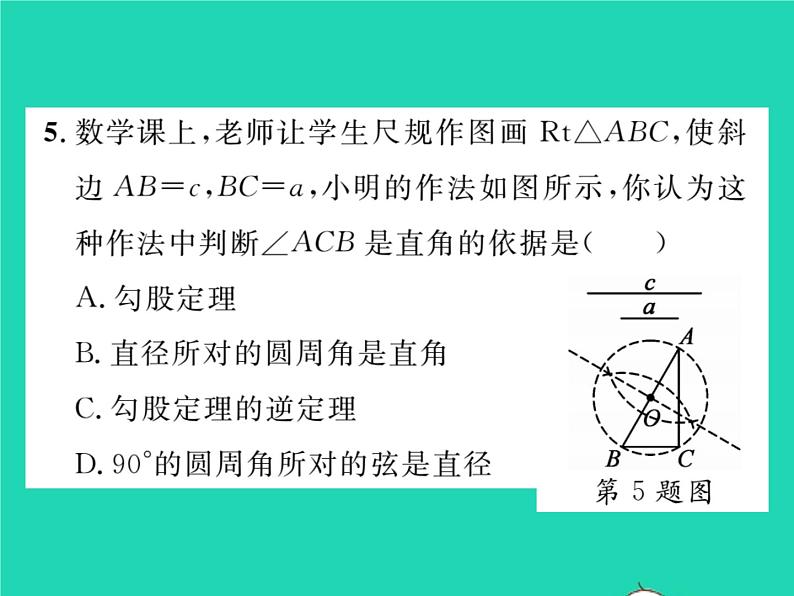 2022九年级数学下册第27章圆双休作业227.1习题课件新版华东师大版06