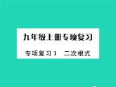 2022九年級(jí)數(shù)學(xué)下冊專項(xiàng)復(fù)習(xí)1二次根式習(xí)題課件新版華東師大版