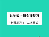 2022九年级数学下册专项复习1二次根式习题课件新版华东师大版