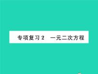 2022九年级数学下册专项复习2一元二次方程习题课件新版华东师大版