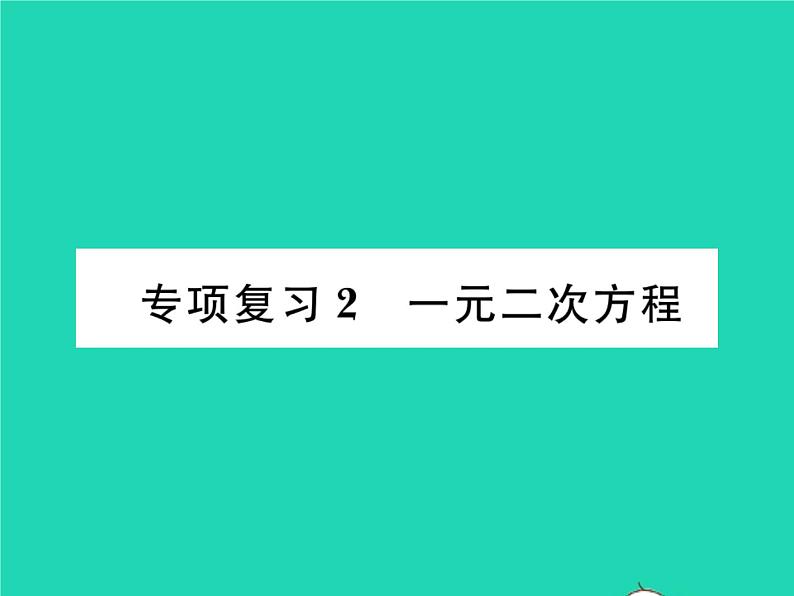 2022九年级数学下册专项复习2一元二次方程习题课件新版华东师大版第1页