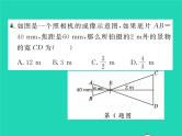 2022九年级数学下册专项复习3图形的相似习题课件新版华东师大版