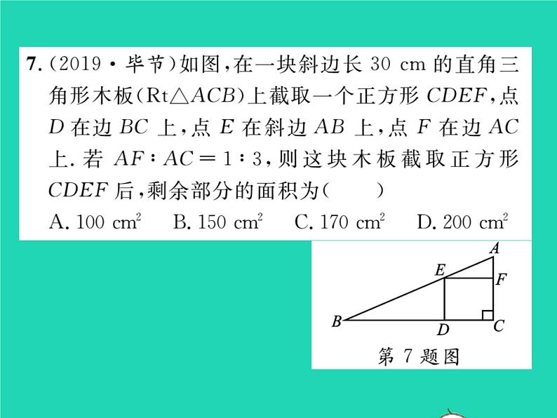 2022九年级数学下册专项复习3图形的相似习题课件新版华东师大版08