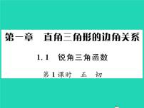 数学九年级下册1 锐角三角函数习题ppt课件