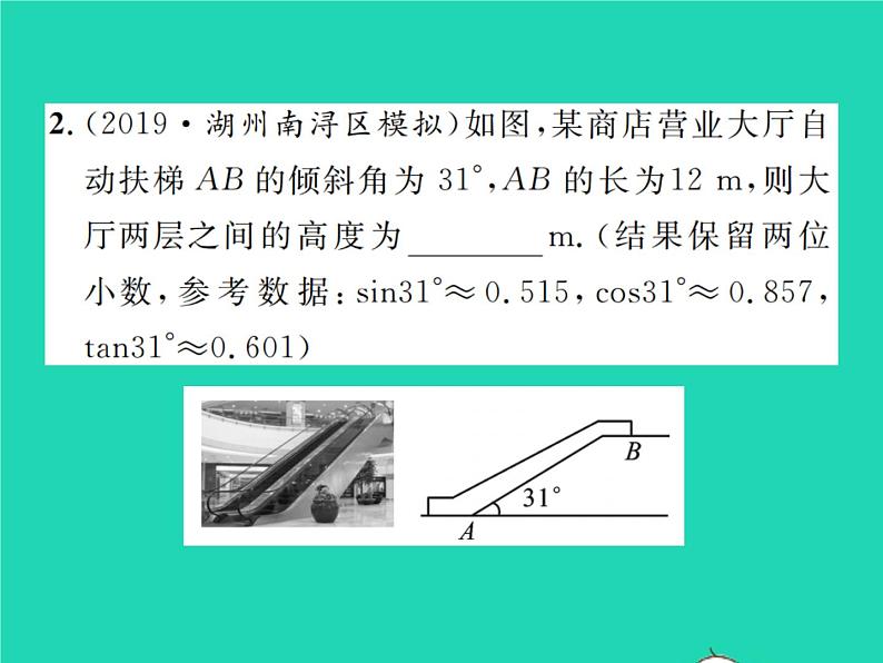 2022九年级数学下册第一章直角三角形的边角关系1.6利用三角函数测高习题课件新版北师大版第3页