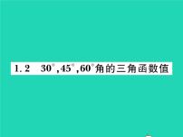 初中数学北师大版九年级下册2 30°、45°、60°角的三角函数值习题课件ppt