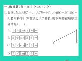 2022九年級數(shù)學(xué)下冊第一章直角三角形的邊角關(guān)系雙休作業(yè)11.1_1.4習(xí)題課件新版北師大版